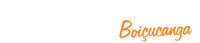 logo-boicuwhite